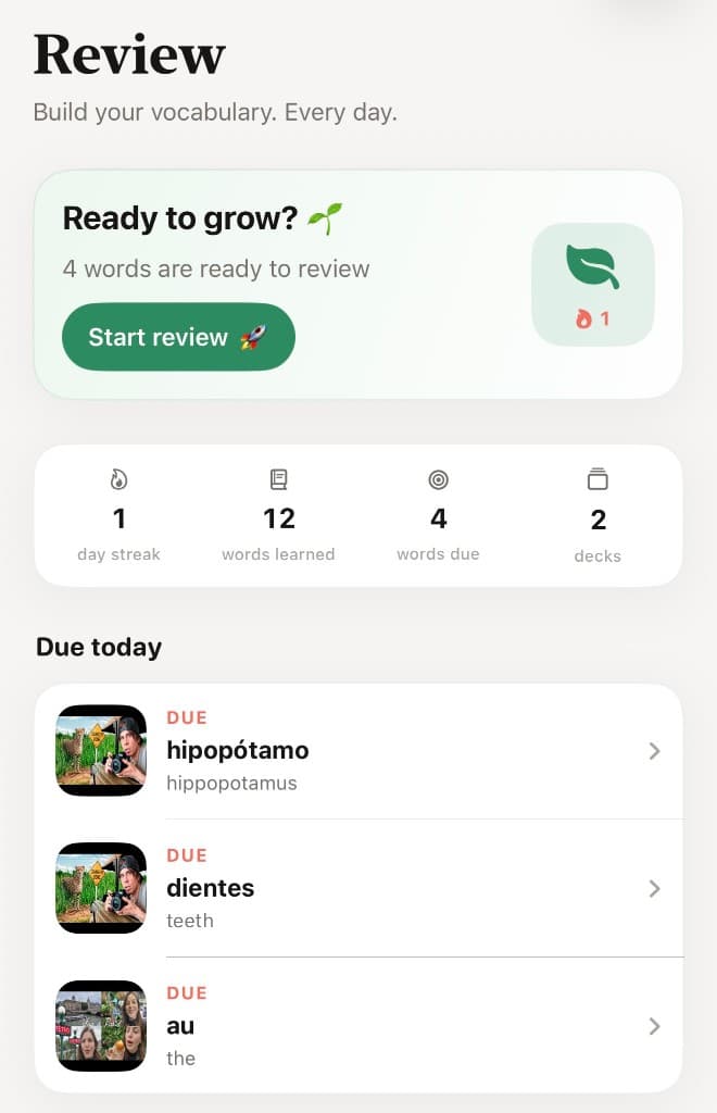 Untranslated daily vocabulary review