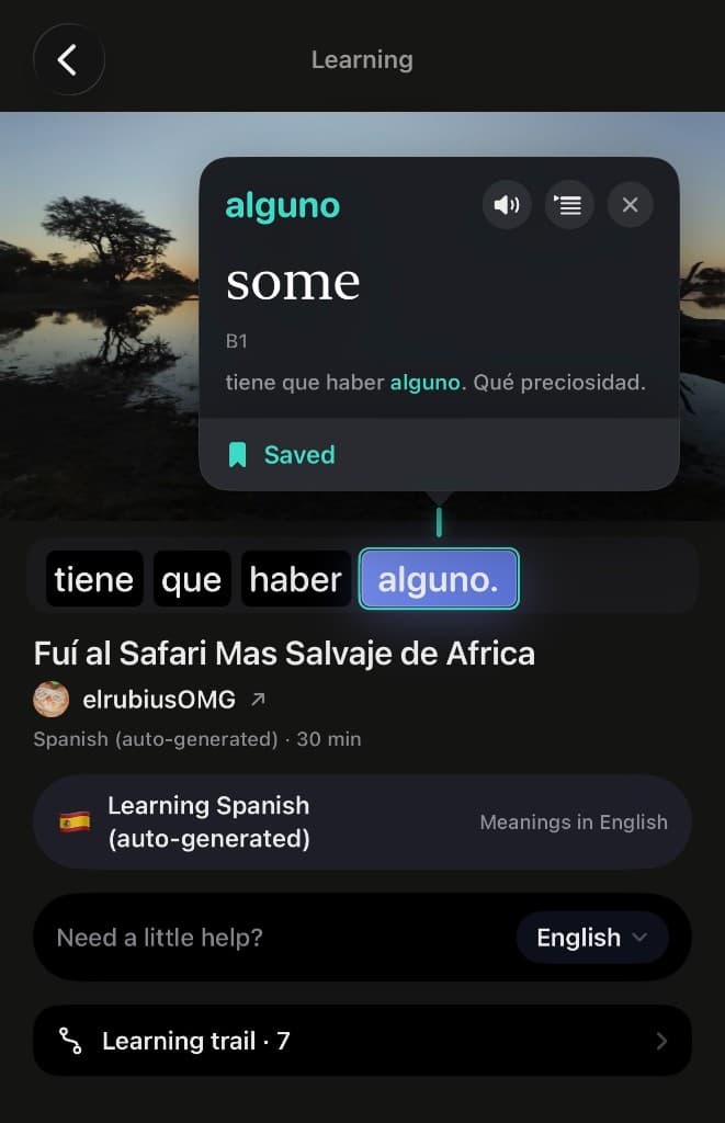 Untranslated showing the meaning of alguno inside a Spanish video